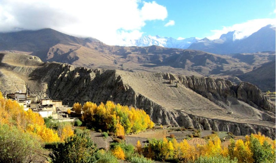 Mustang Trek 15Night 16 Days